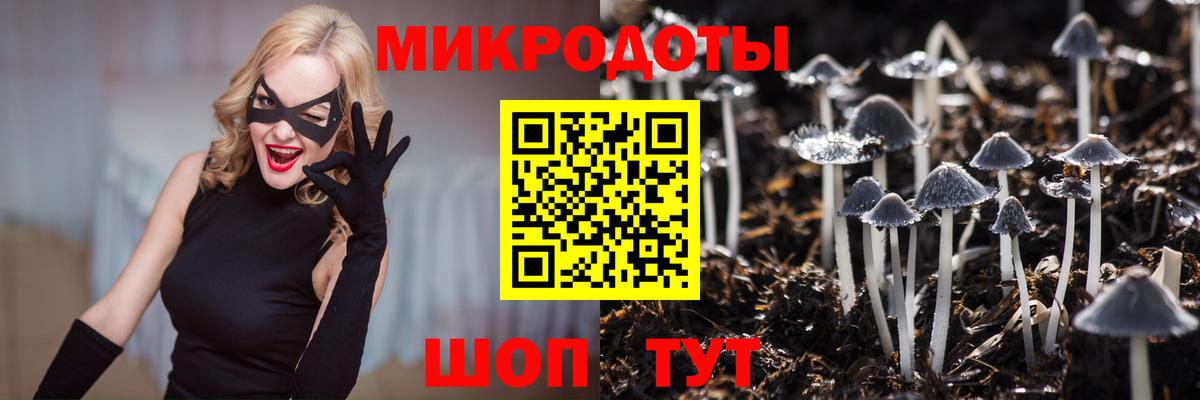 Псилоцибиновые грибы ЛСД Коммунар